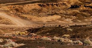 中东媒体：沙特联赛在冬窗将不惜一切代价得到萨拉赫